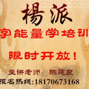 2023年杨派｛数字能量学｝培训班公开招生