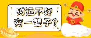 杨公风水直播间点播函授合同