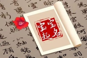 一听就非常聪明的宝宝名，梁姓必看
