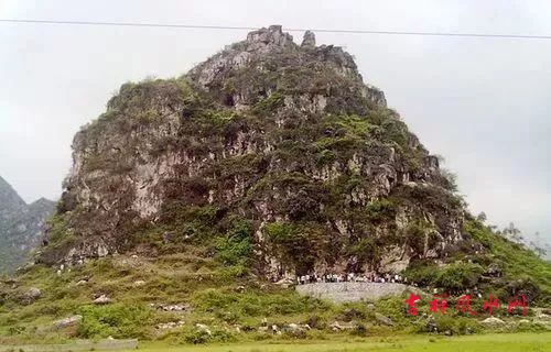 微信图片_20230922205443.jpg