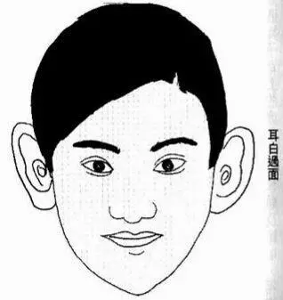 1745642500199842.webp 微信图片_20250426124052.webp