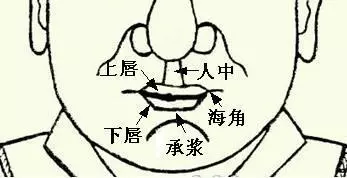 1745642508178073.webp 微信图片_20250426124055.webp