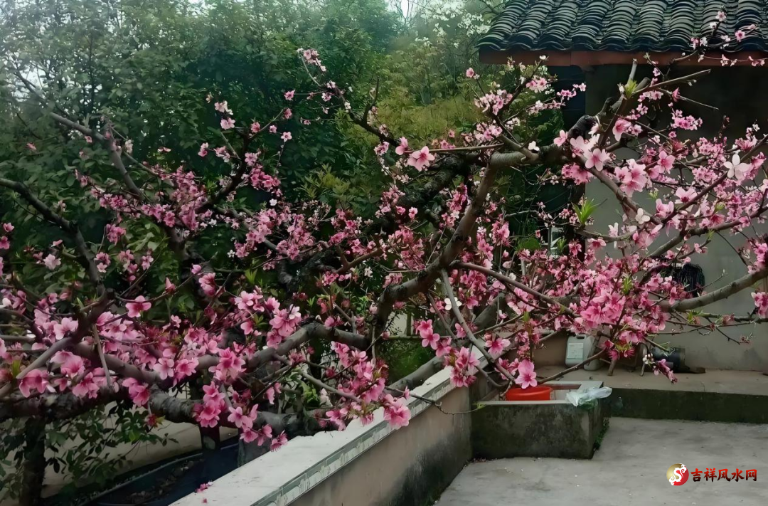 微信图片_20250428162052.png