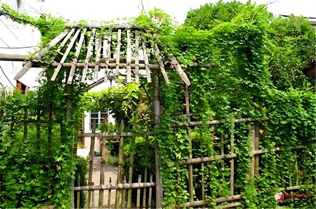 微信图片_20250428162055.png