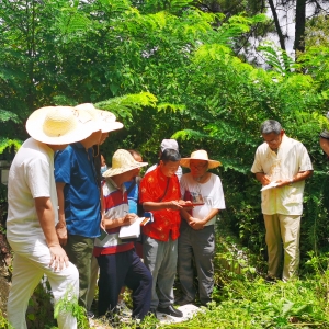 贵州嫡传弟子学习杨公风水之悟